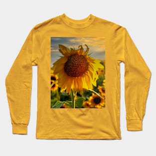 Sunflower field at sunset Long Sleeve T-Shirt